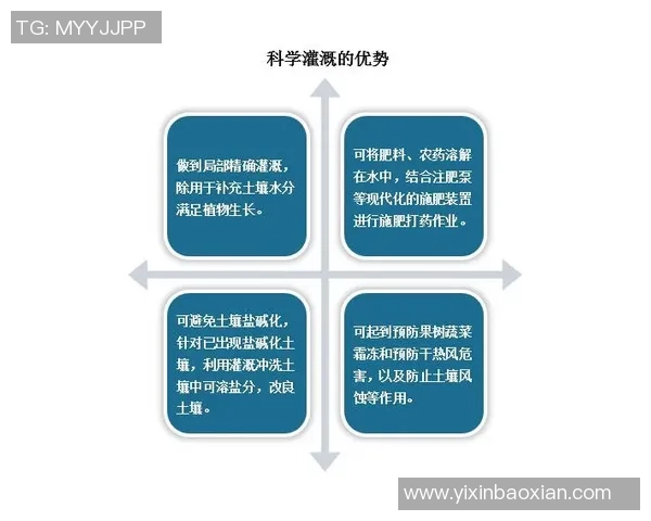 广州排球队的力量分析与发展潜力探讨 广州排球队的力量分析与发展潜力探讨