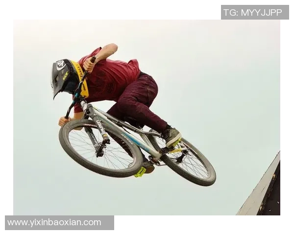 成都极限运动队的区域防守策略揭秘与深度分析