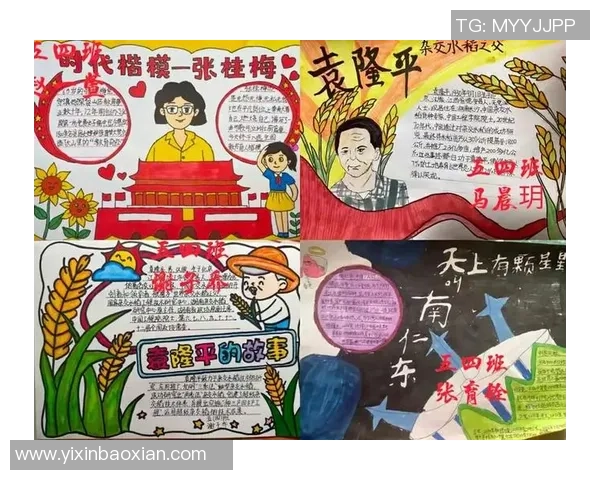 武汉排球队的崛起之路总决赛背后的奋斗与坚持故事